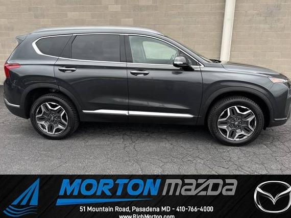 HYUNDAI SANTA FE 2021 5NMS4DAL6MH317090 image